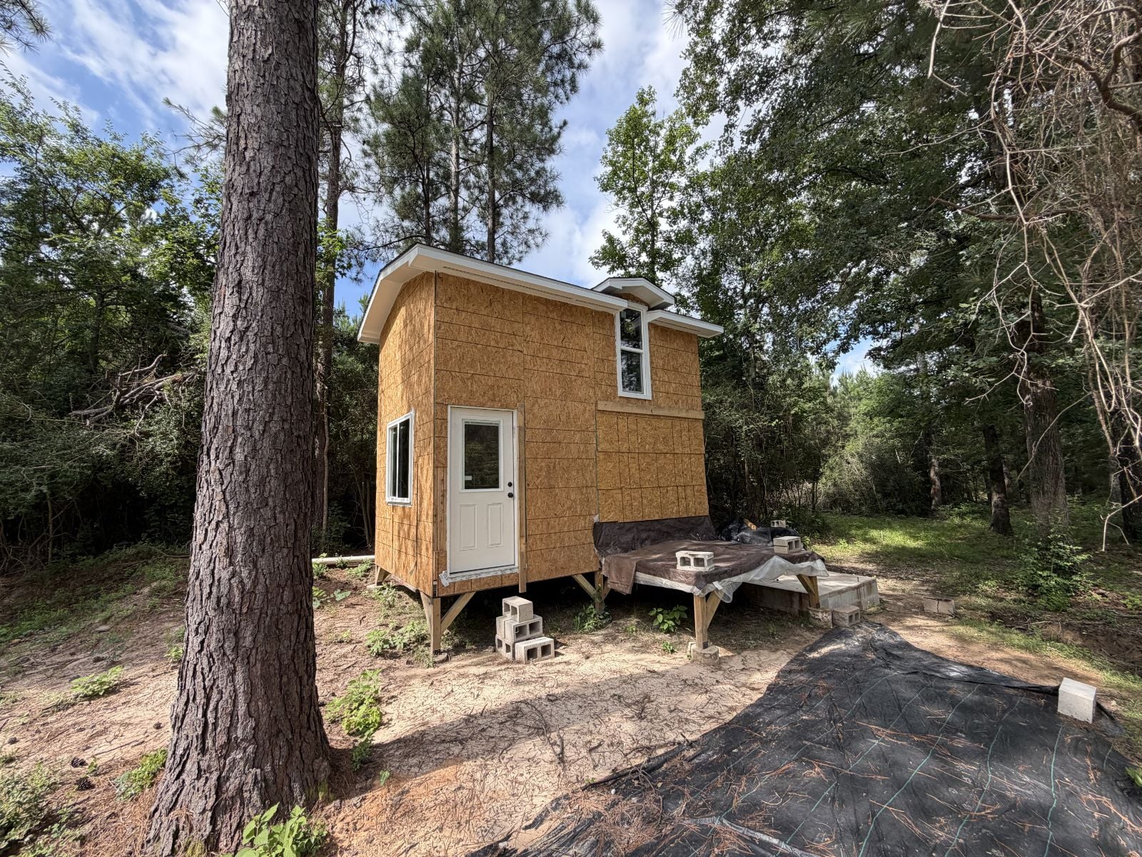 Tiny Country Home on 3 Acres of Land for Sale in Carthage, TX