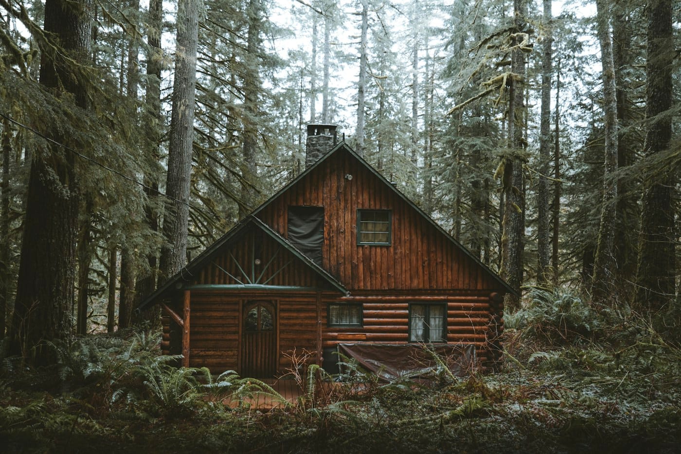 Magical tiny house - Image 2